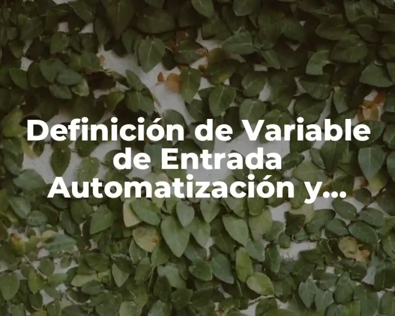 Definición de Variable de Entrada Automatización y Control