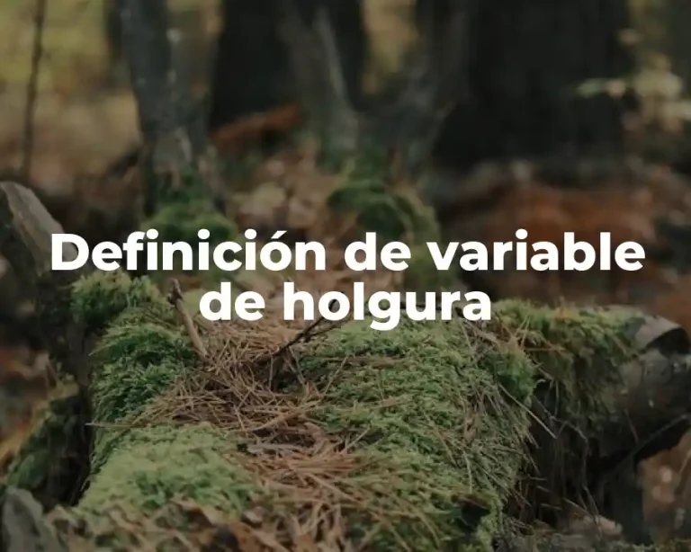 Definición de variable de holgura