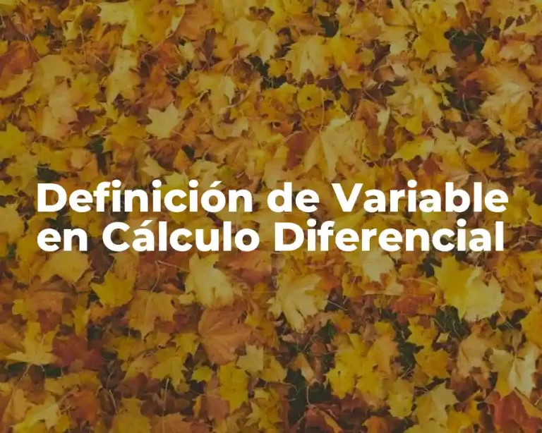 Definición de Variable en Cálculo Diferencial