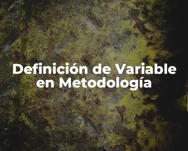 Definición de Variable en Metodología