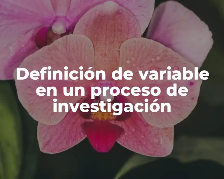 Definición de variable en un proceso de investigación