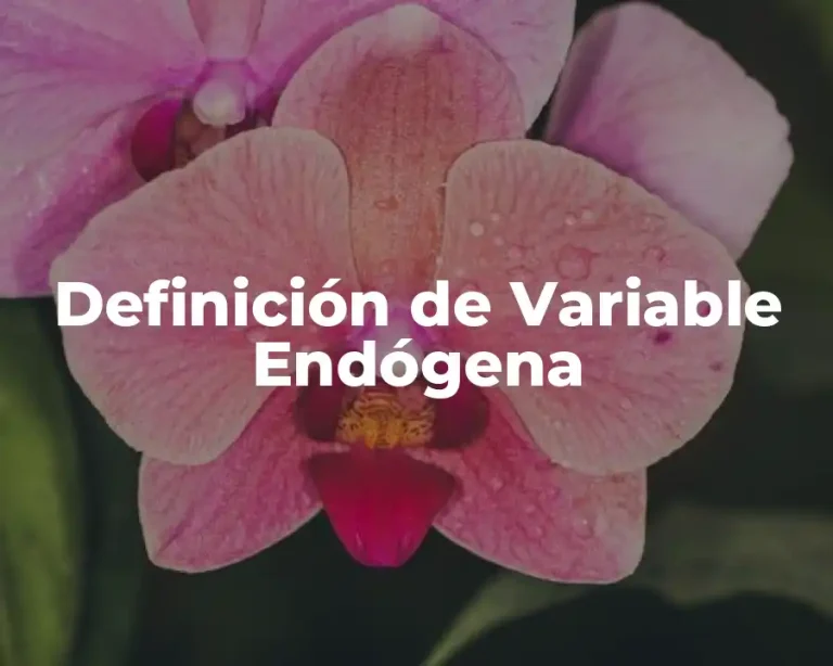 Definición de Variable Endógena