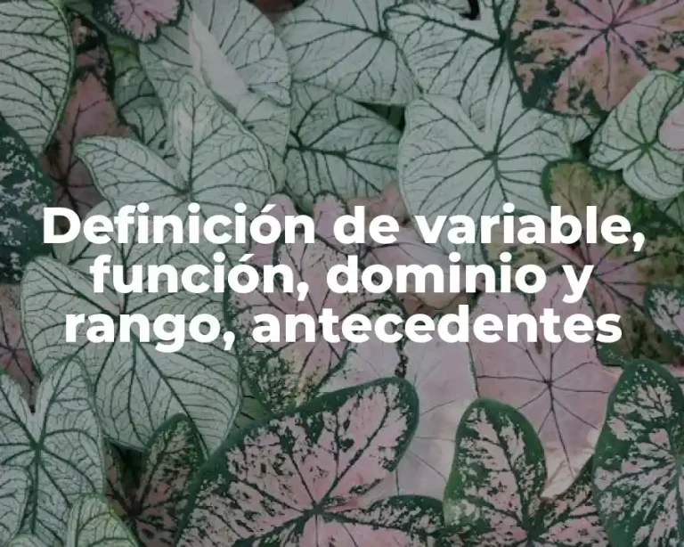 Definición de variable, función, dominio y rango, antecedentes