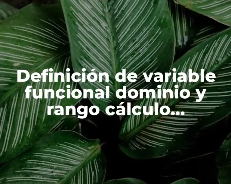Definición de variable funcional dominio y rango cálculo diferencial