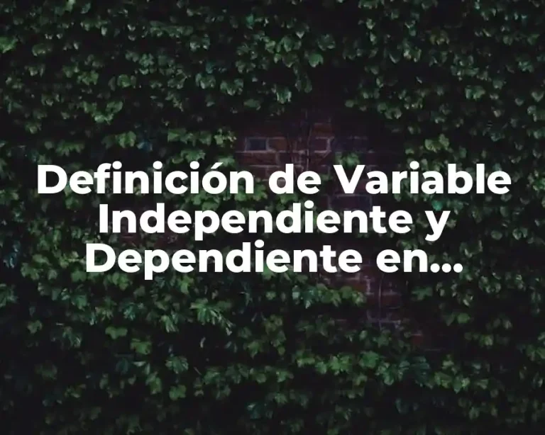 Definición de Variable Independiente y Dependiente en Matemáticas