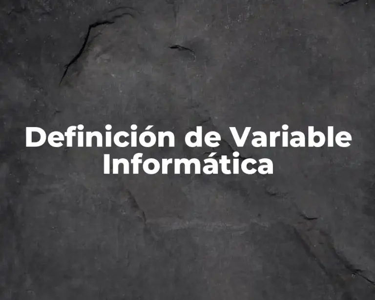 Definición de Variable Informática