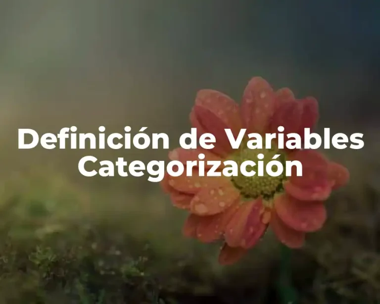 Definición de Variables Categorización