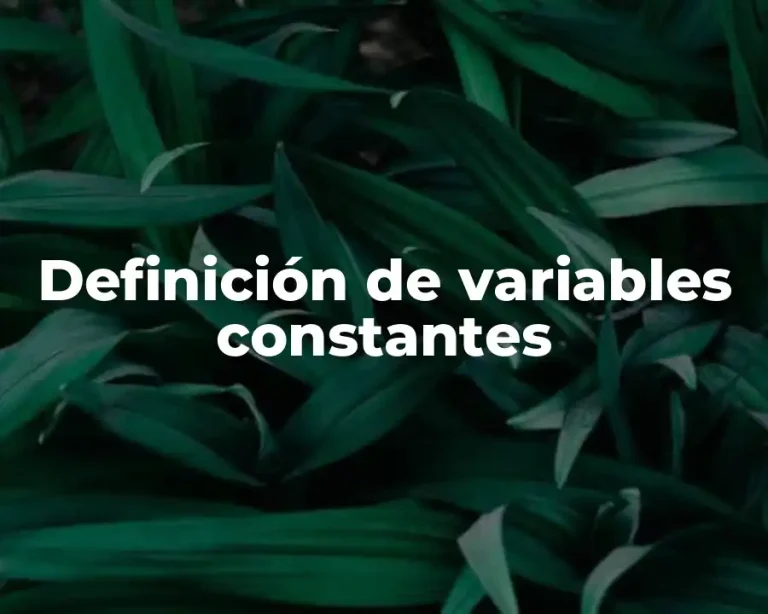 Definición de variables constantes