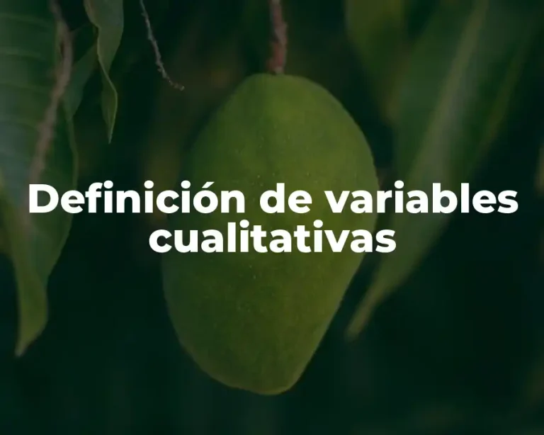 Definición de variables cualitativas