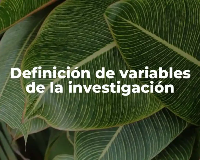 Definición de variables de la investigación