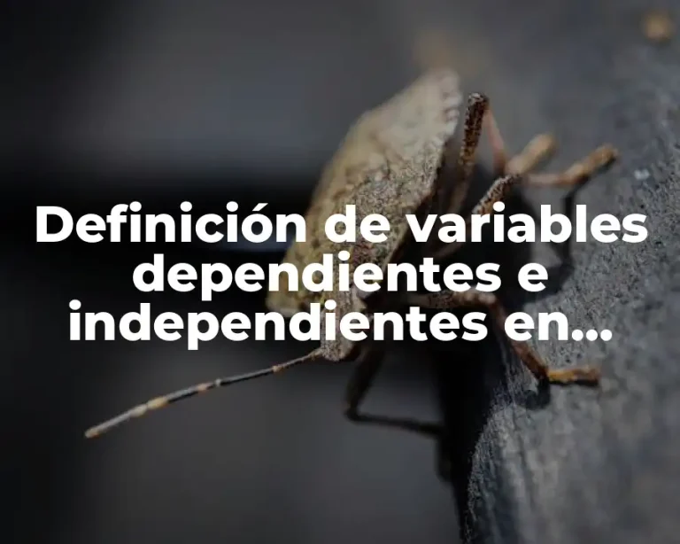 Definición de variables dependientes e independientes en educación y resguardo