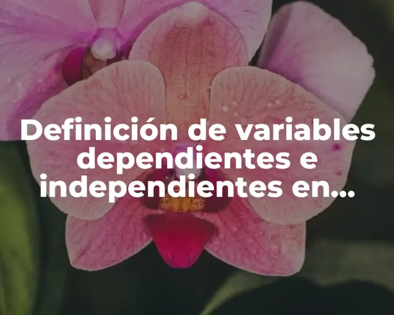 Definición de variables dependientes e independientes en marketing