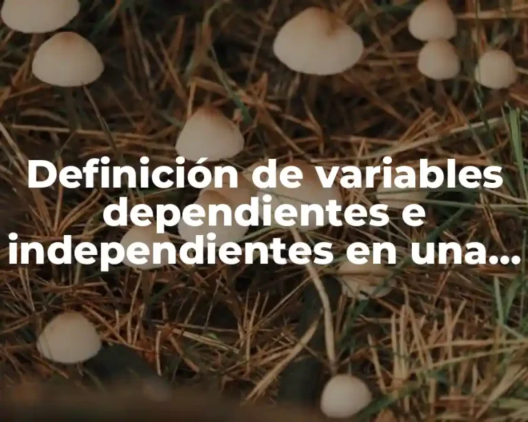Definición de variables dependientes e independientes en una empresa