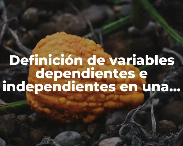 Definición de variables dependientes e independientes en una investigación social