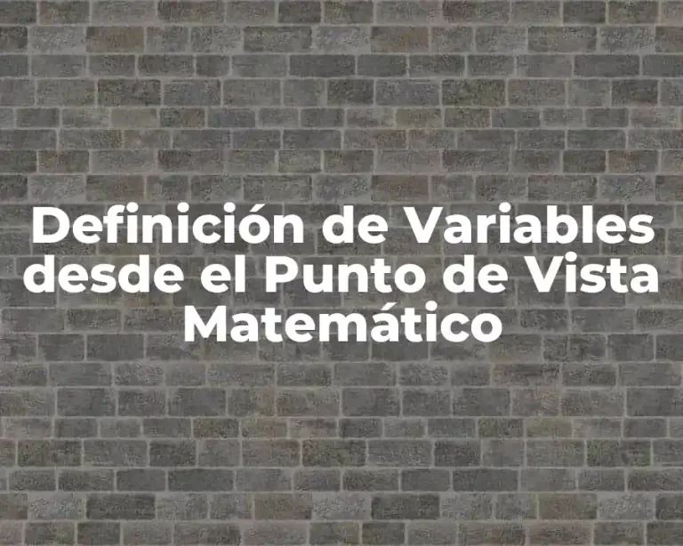 Definición de Variables desde el Punto de Vista Matemático