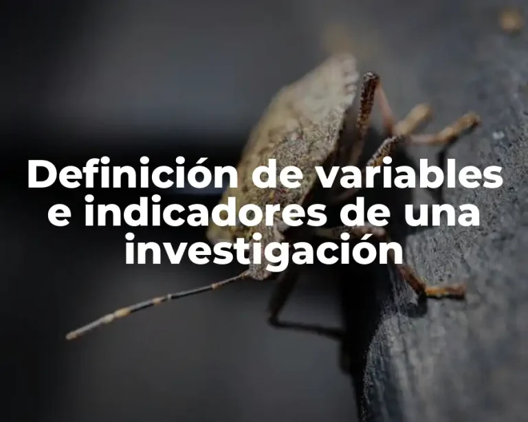 Definición de variables e indicadores de una investigación