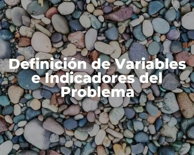 Definición de Variables e Indicadores del Problema