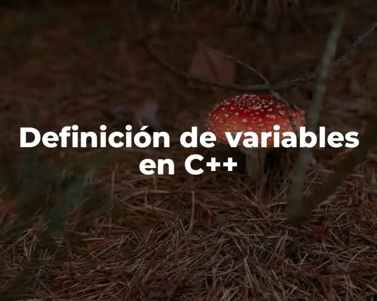 Definición de variables en C++