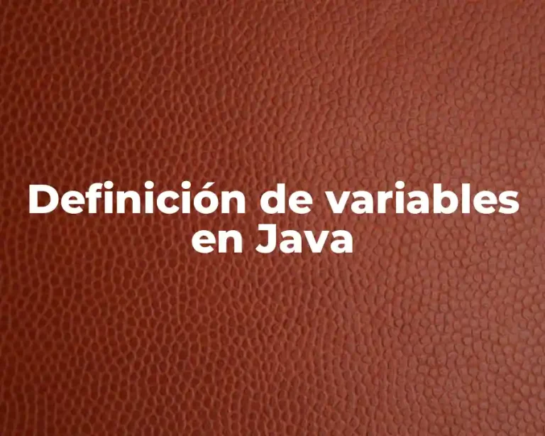 Definición de variables en Java