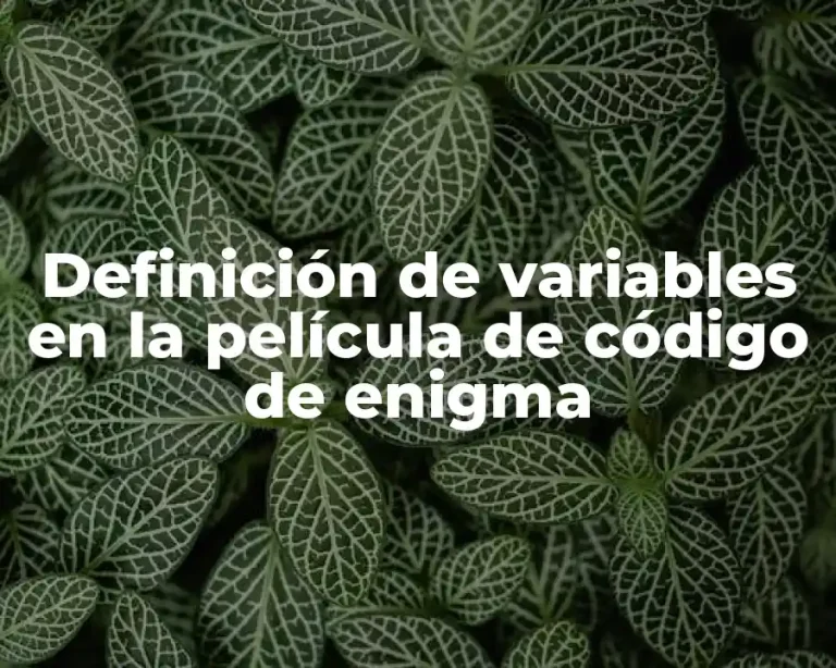 Definición de variables en la película de código de enigma