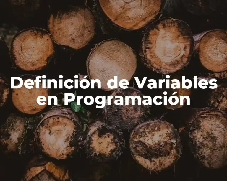 Definición de Variables en Programación