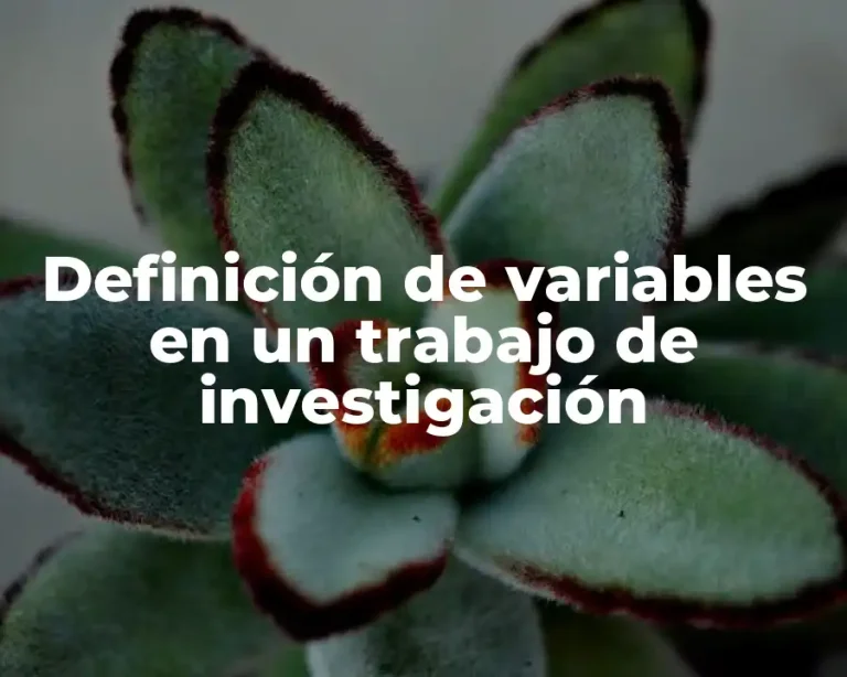 Definición de variables en un trabajo de investigación