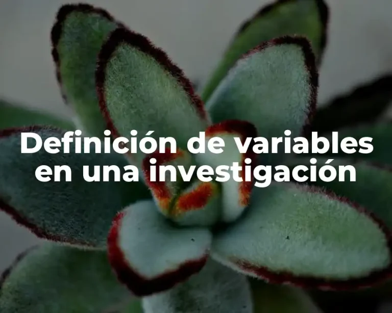 Definición de variables en una investigación