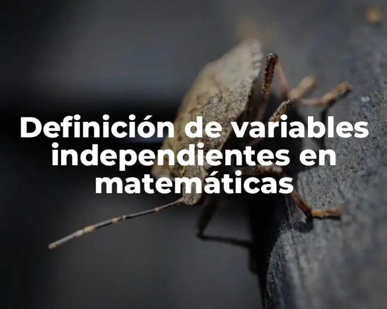 Definición de variables independientes en matemáticas