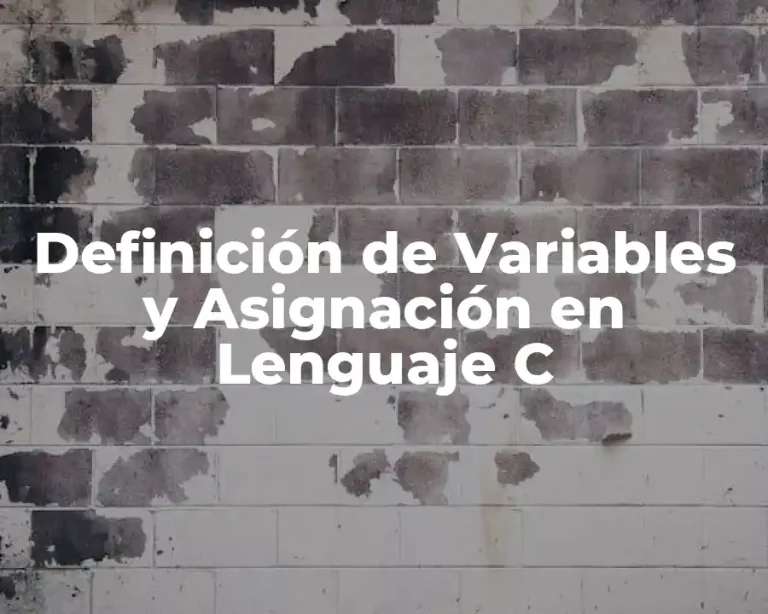 Definición de Variables y Asignación en Lenguaje C