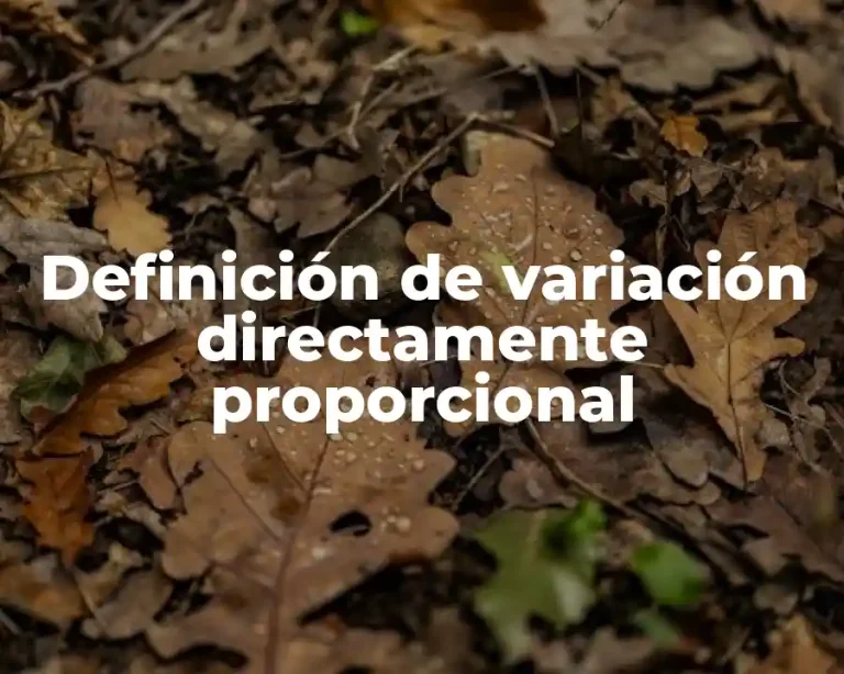 Definición de variación directamente proporcional