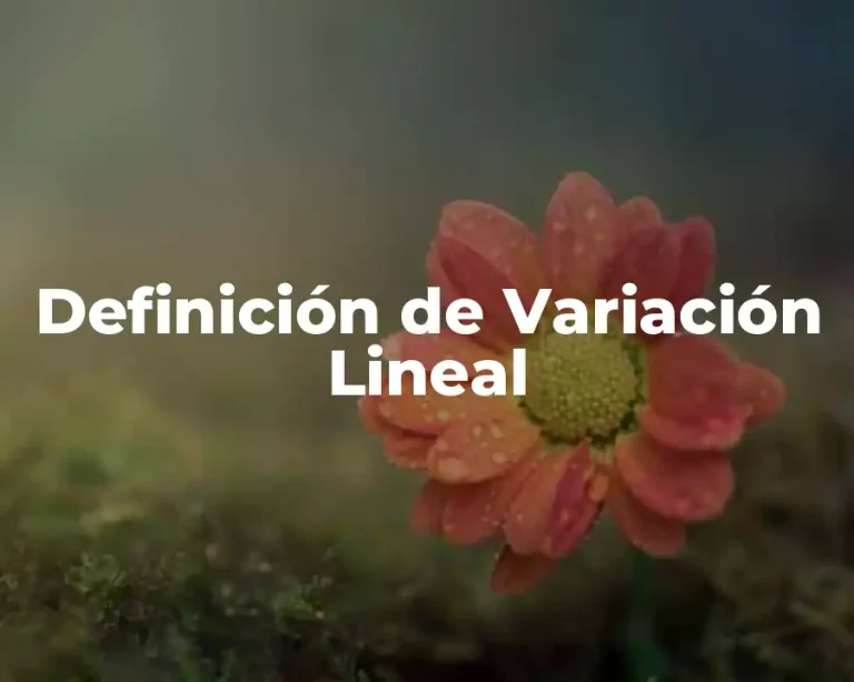 Definición de Variación Lineal