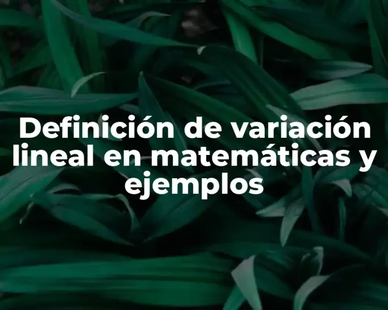 Definición de variación lineal en matemáticas y ejemplos
