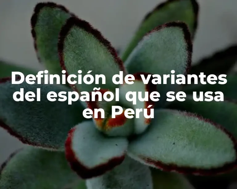 Definición de variantes del español que se usa en Perú