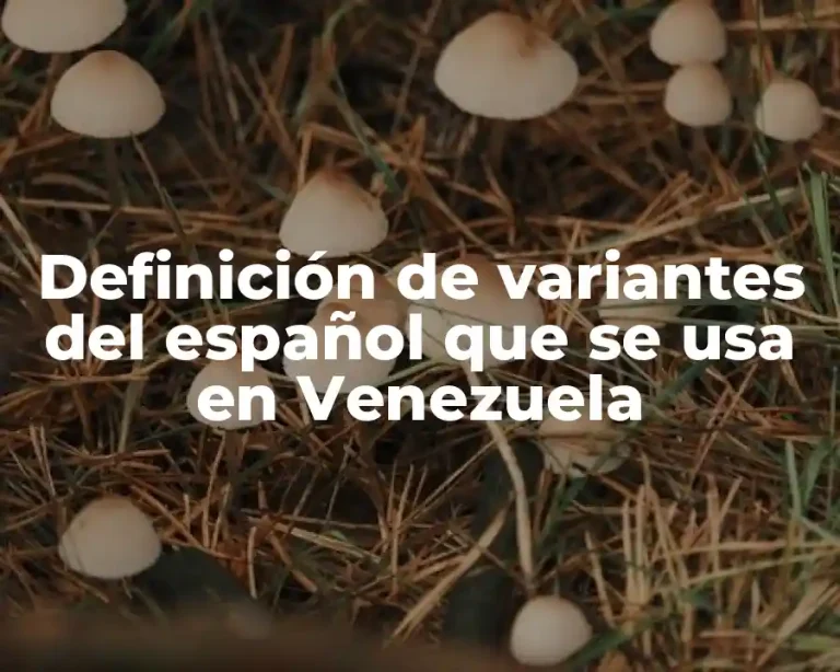 Definición de variantes del español que se usa en Venezuela