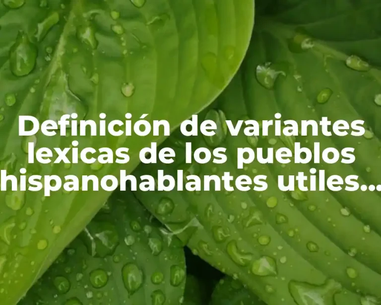 Definición de variantes lexicas de los pueblos hispanohablantes utiles escolares