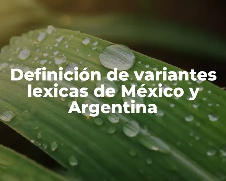 Definición de variantes lexicas de México y Argentina