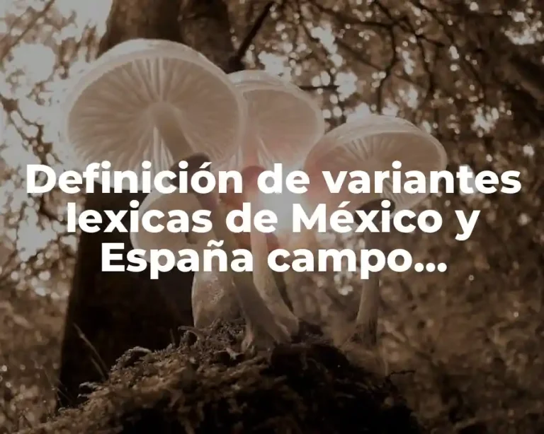 Definición de variantes lexicas de México y España campo semántico