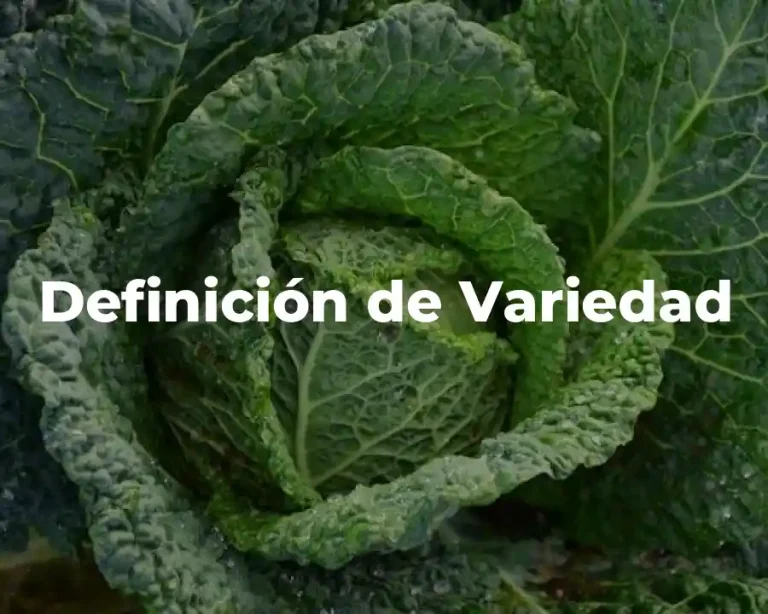 Definición de Variedad