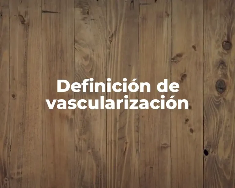 Definición de vascularización