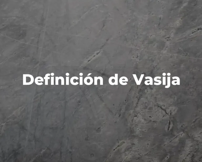 Definición de Vasija