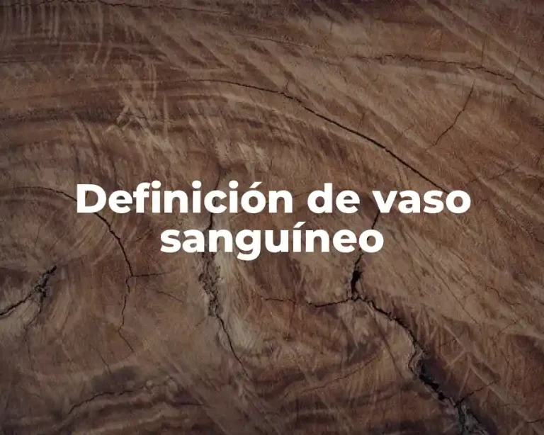 Definición de vaso sanguíneo