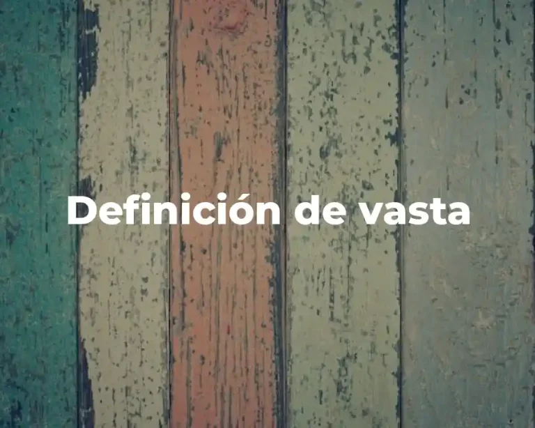 Definición de vasta