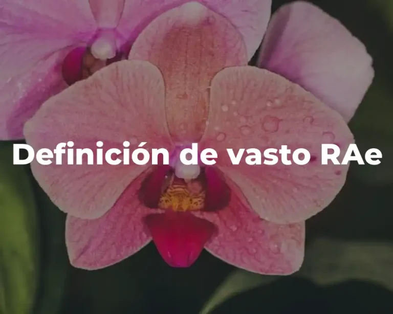 Definición de vasto RAe
