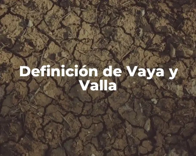 Definición de Vaya y Valla