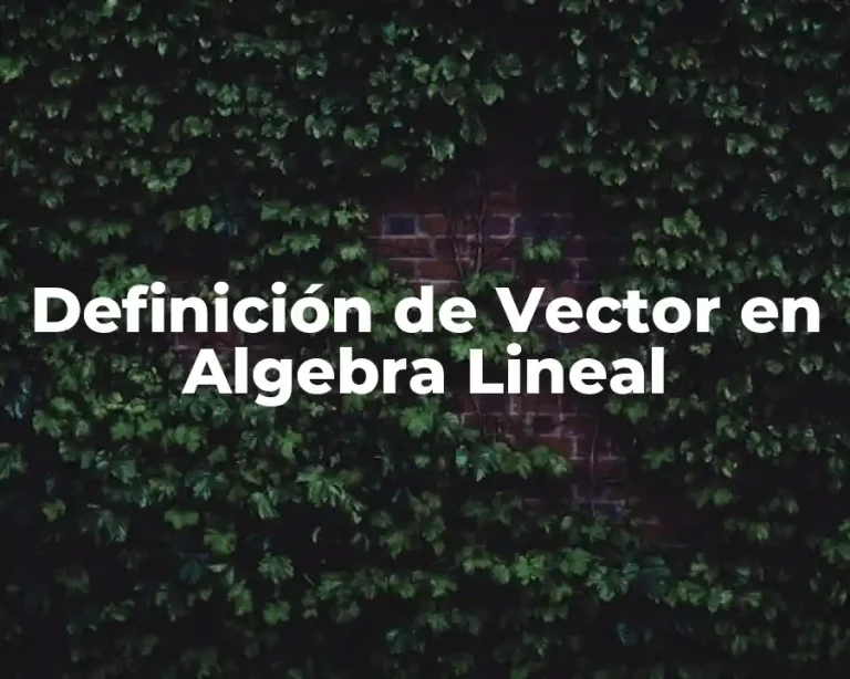 Definición de Vector en Algebra Lineal