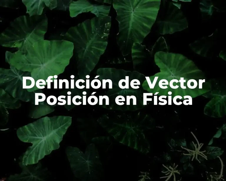 Definición de Vector Posición en Física