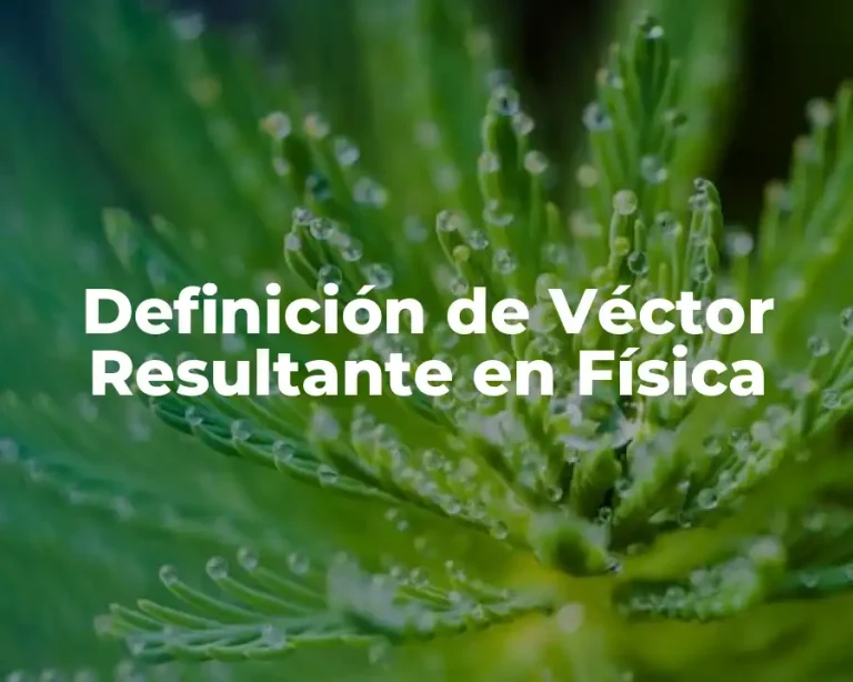 Definición de Véctor Resultante en Física