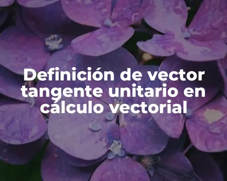 Definición de vector tangente unitario en cálculo vectorial