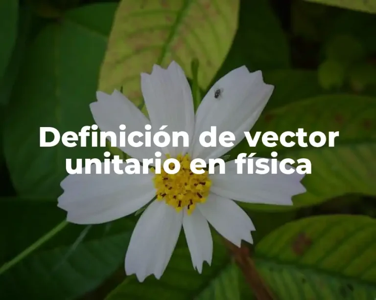 Definición de vector unitario en física