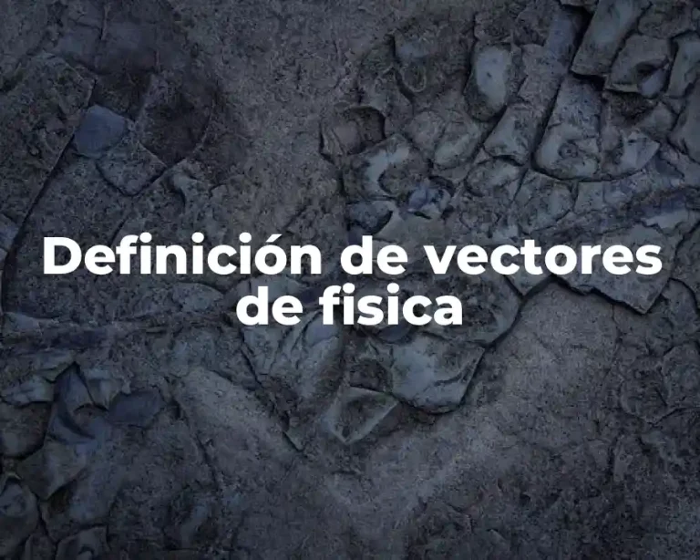 Definición de vectores de fisica